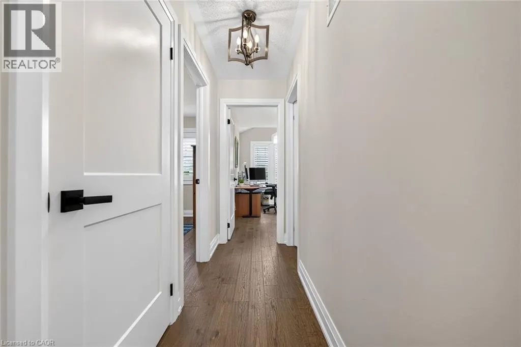 12 FIDDLEHEAD Crescent
