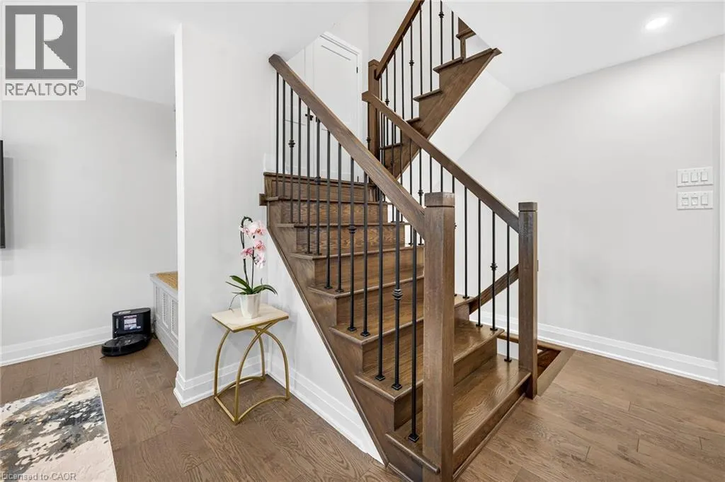 12 FIDDLEHEAD Crescent