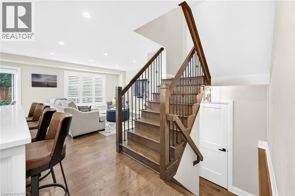 12 FIDDLEHEAD Crescent