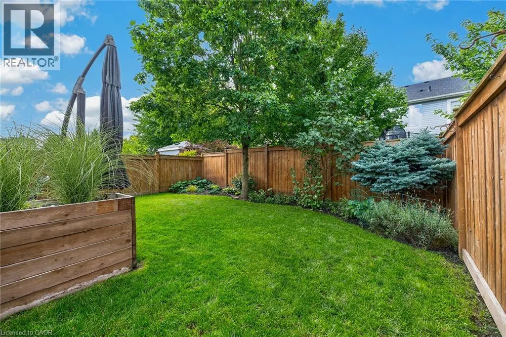 12 FIDDLEHEAD Crescent