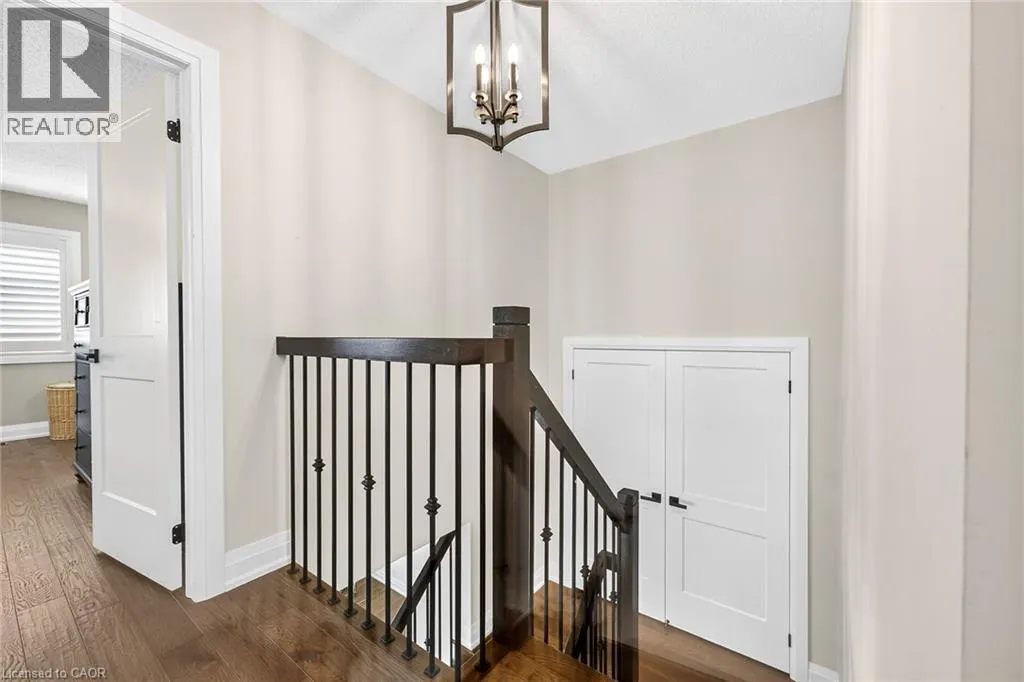12 FIDDLEHEAD Crescent