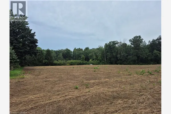 1 SEVENTH CONCESSION Road
