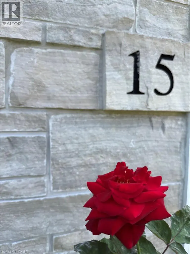 15 FIRST Street S