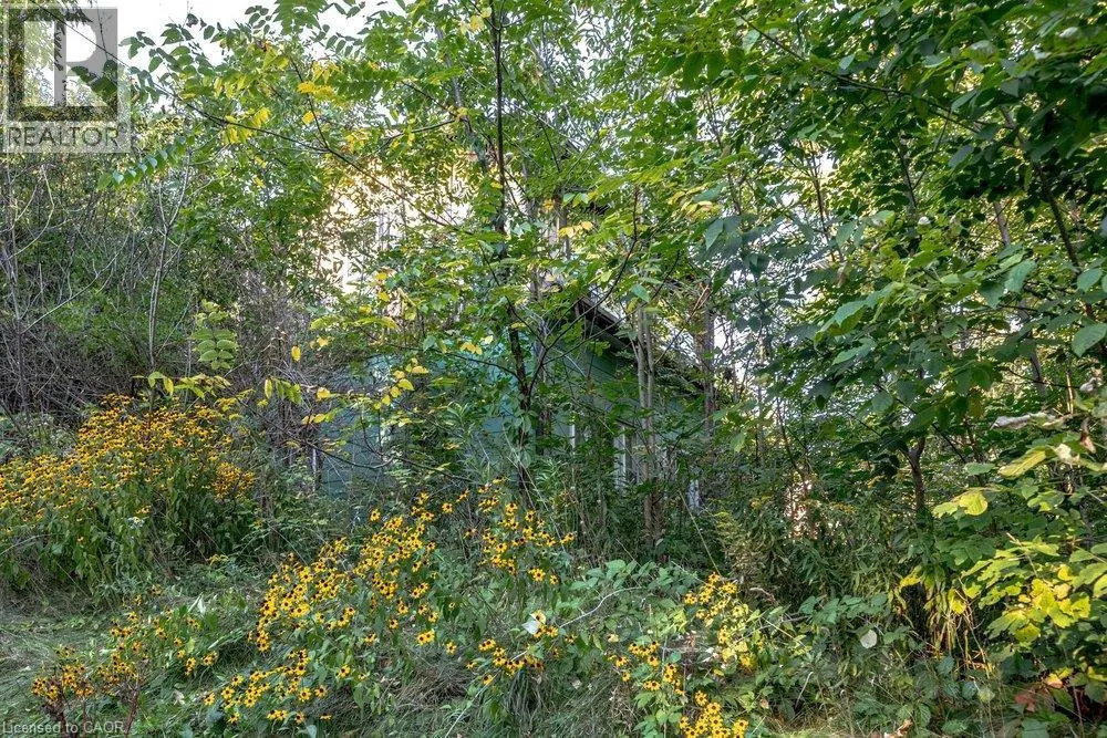 961 LOWER LIONS CLUB Road
