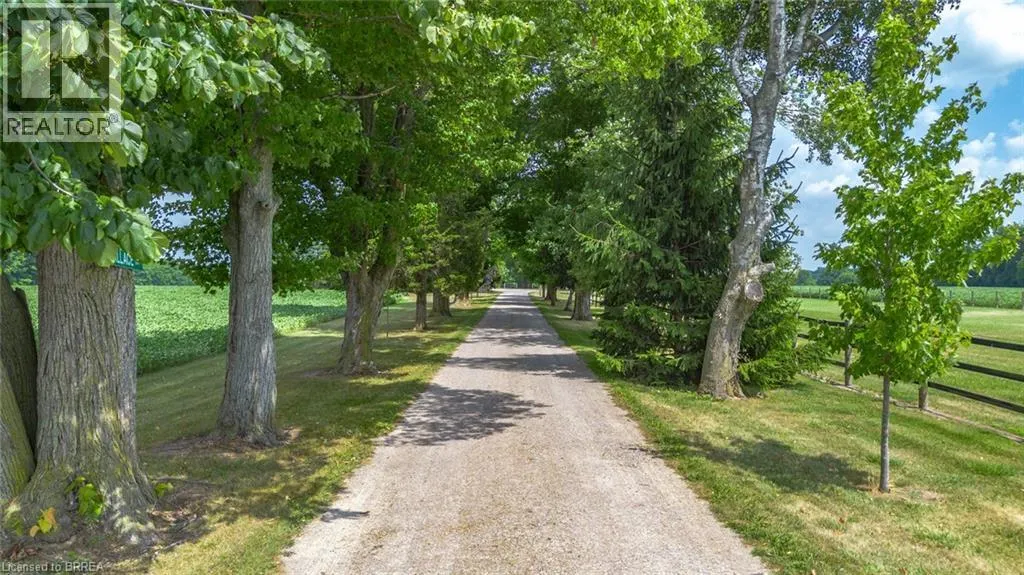 81 MCGILL Road
