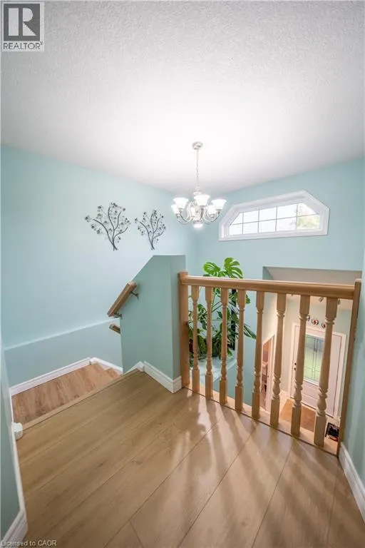 237 GREY FOX Drive
