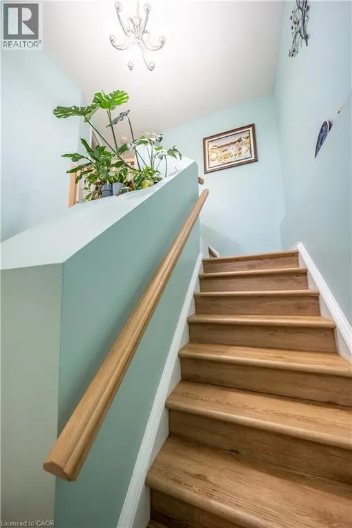 237 GREY FOX Drive