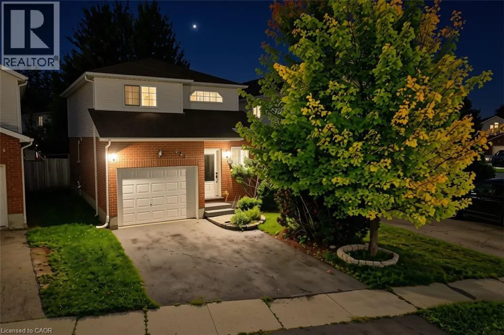 237 GREY FOX Drive