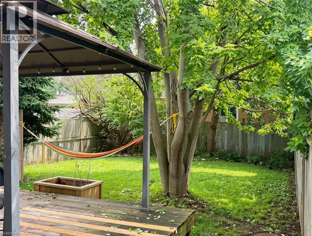 237 GREY FOX Drive