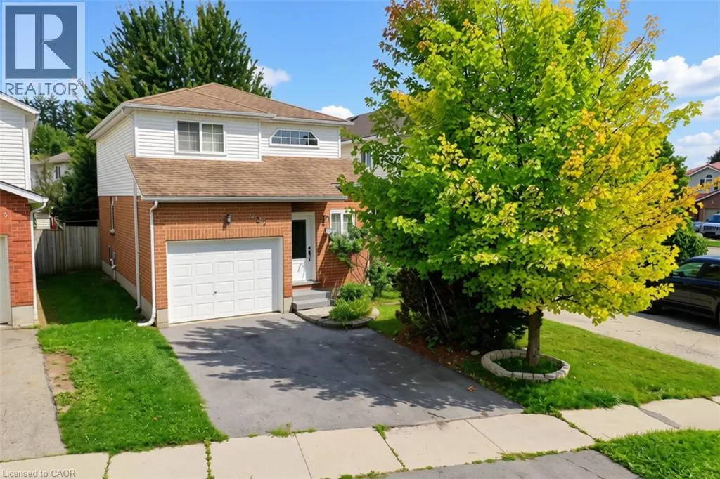 237 GREY FOX Drive