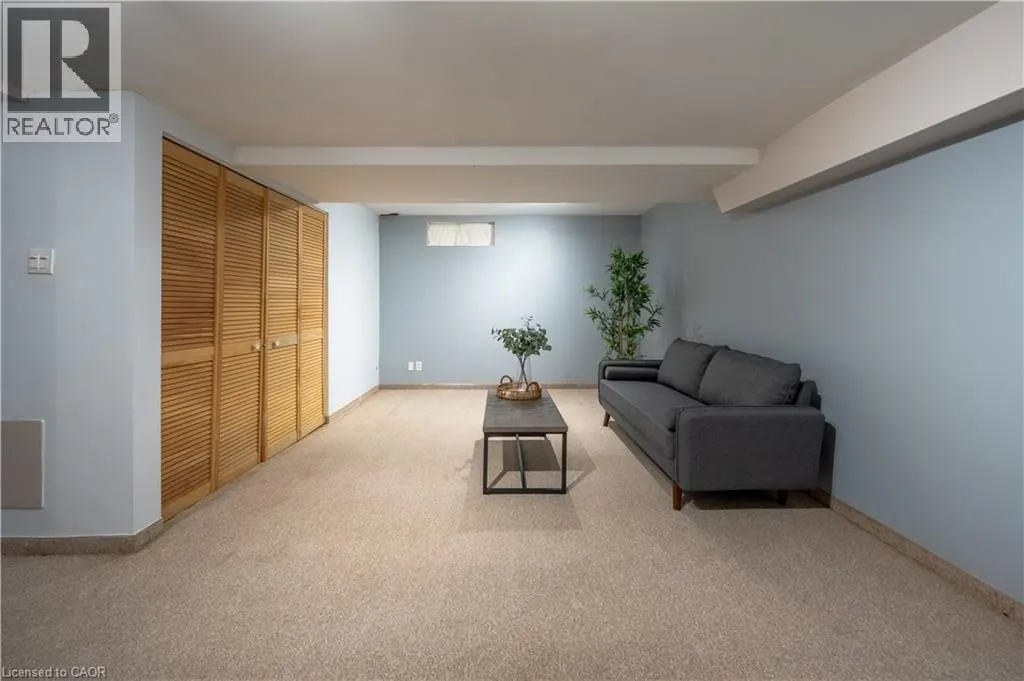237 GREY FOX Drive