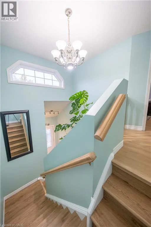 237 GREY FOX Drive