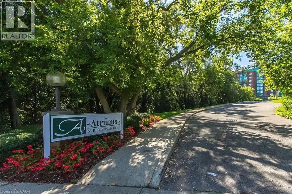 55 BLUE SPRINGS Drive Unit# 311 #311