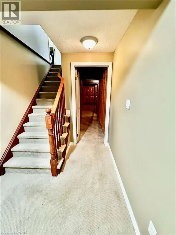 11 CARMICHAEL Trail