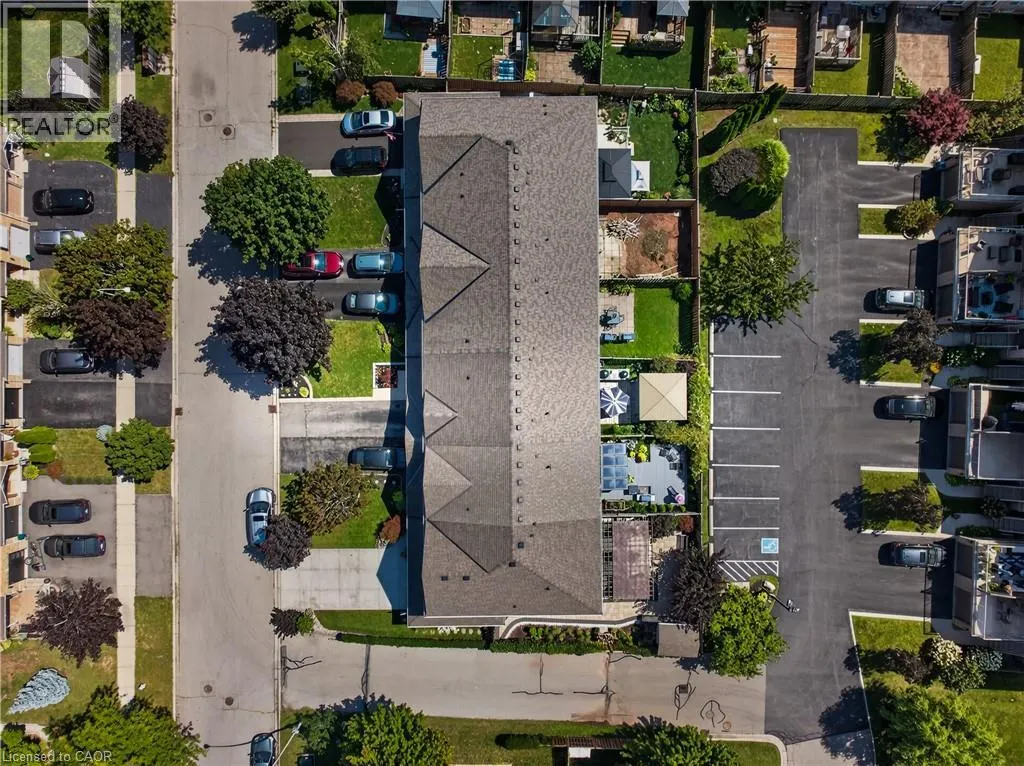 11 ELDERBERRY Avenue