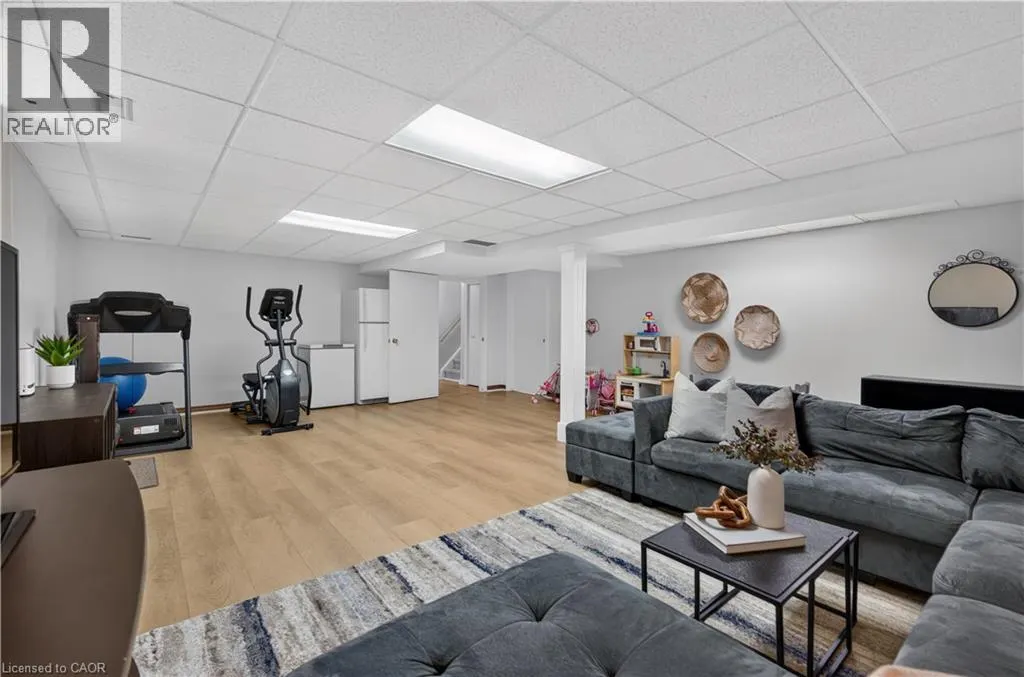 7 FERN Avenue