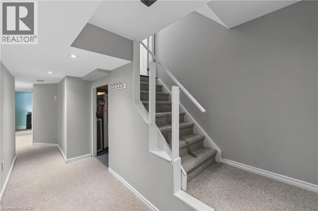 16 HAYNES Court