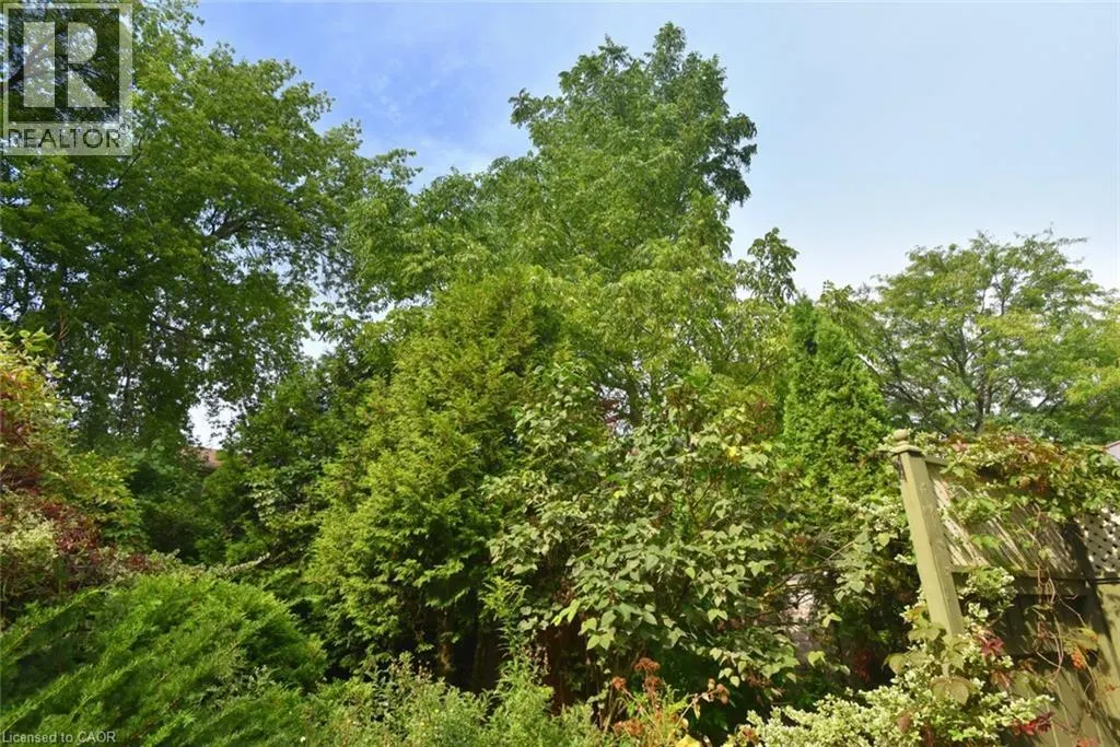81 AYLMER Crescent