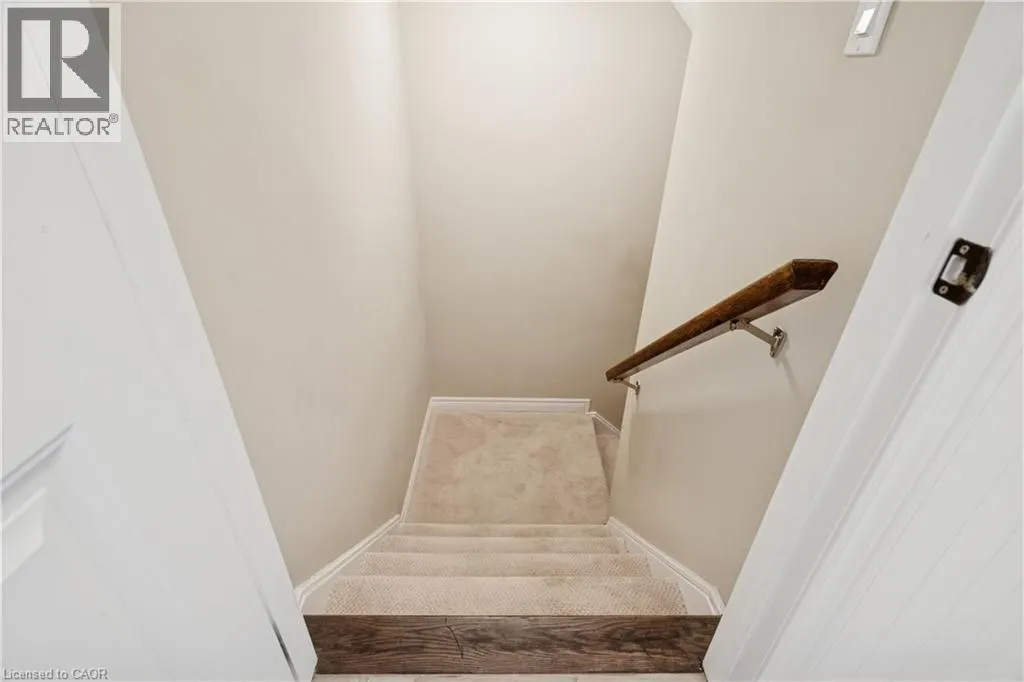 10 CHESTNUT Drive