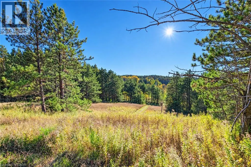 1163 CARMEL KOCH Road