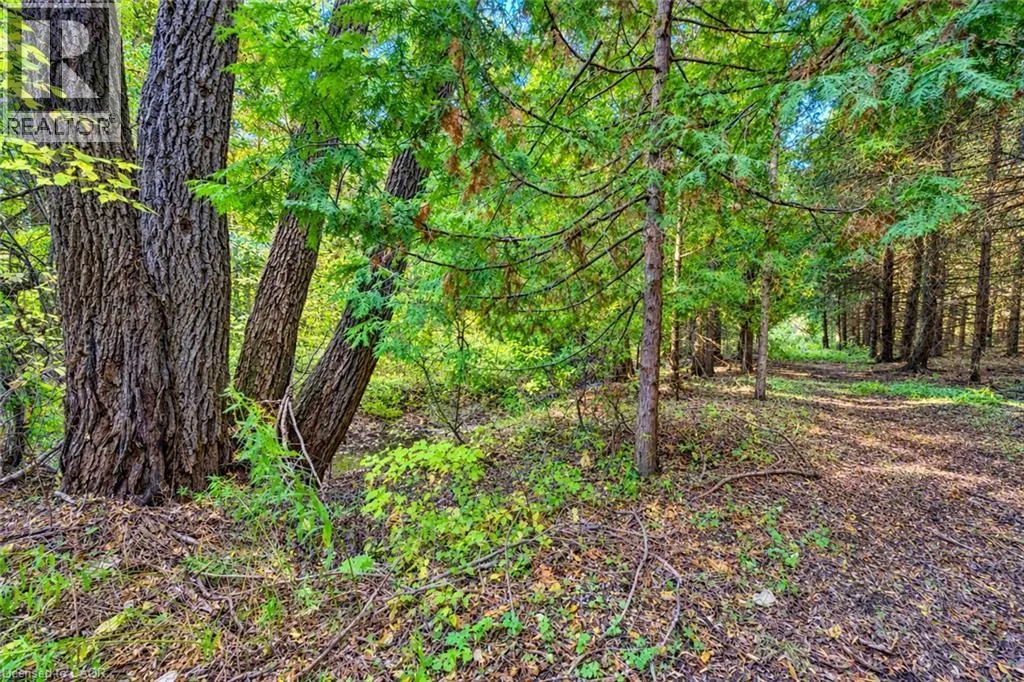 1163 CARMEL KOCH Road
