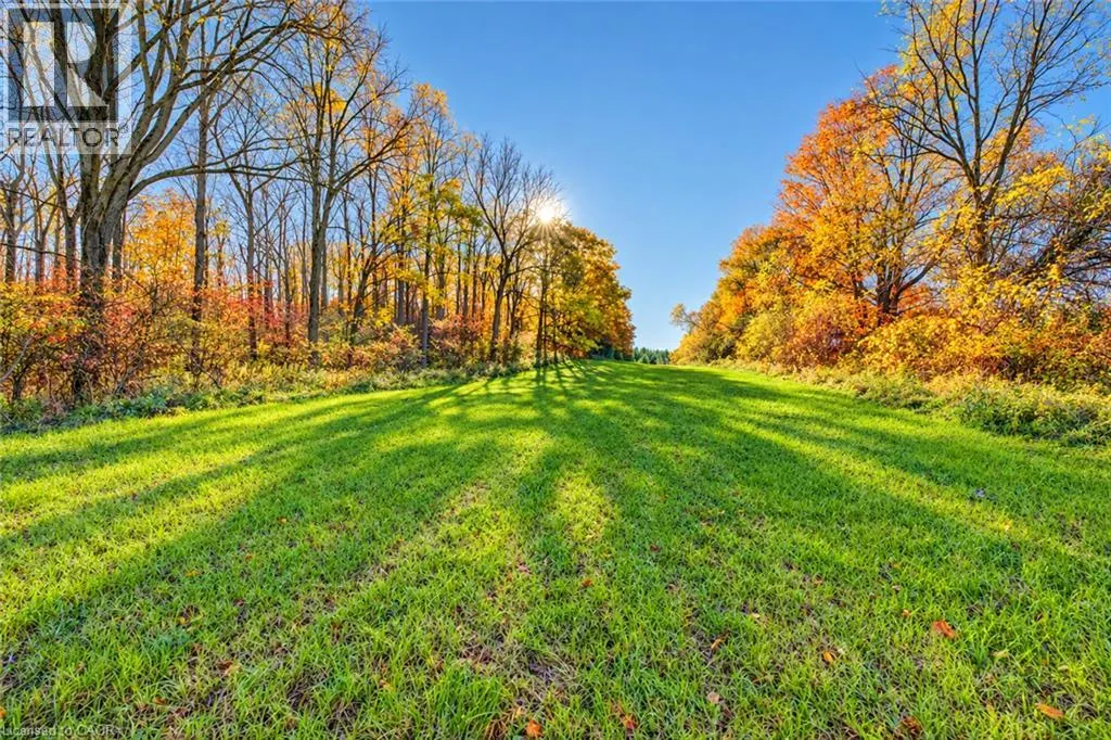 1163 CARMEL KOCH Road