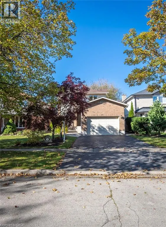 45 NISKA Drive