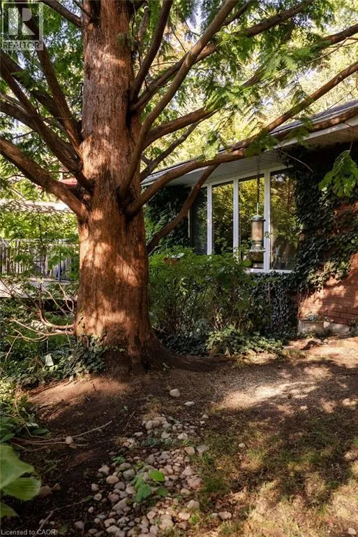 6 ROSEBOUGH Street