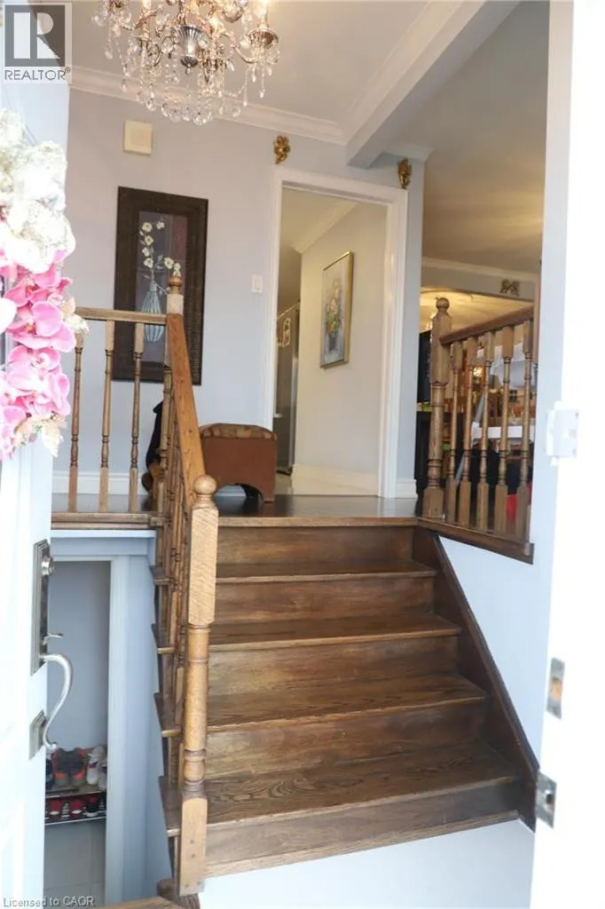 54 PETIOLE Road