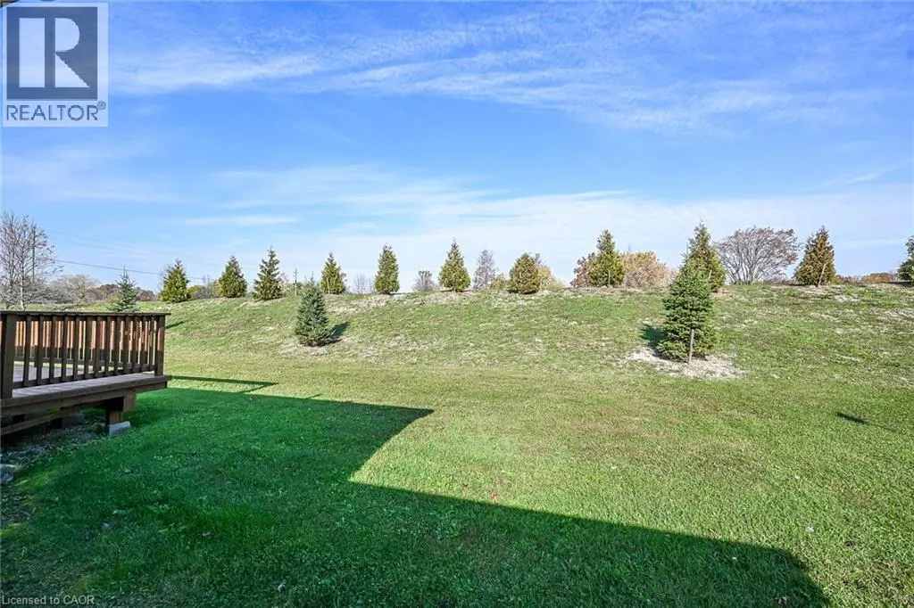 5 FOREST Trail
