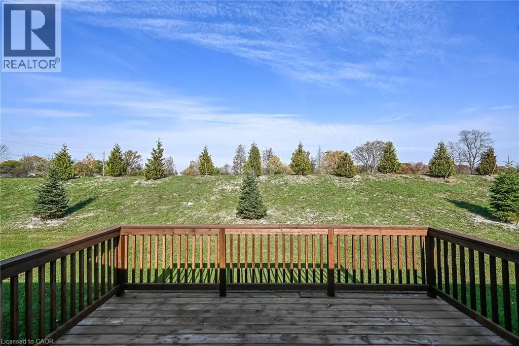 5 FOREST Trail