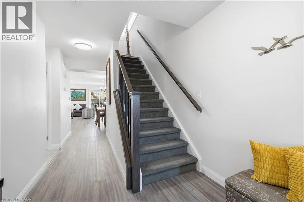 137 ELGIN Street