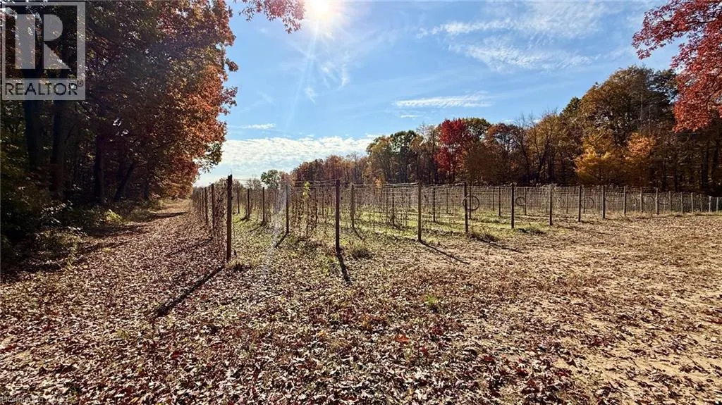 555 WINDHAM ROAD 12 Road