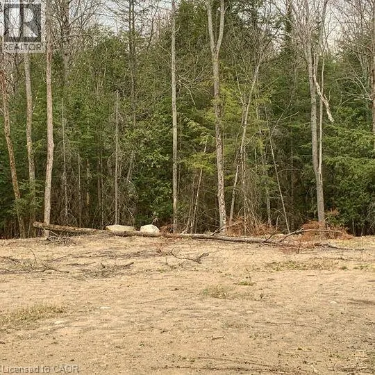 5 MOUNTAIN BASIN Drive