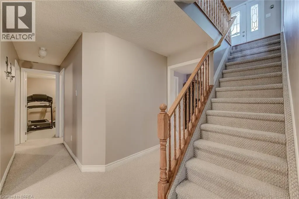45 OLIVETREE Road