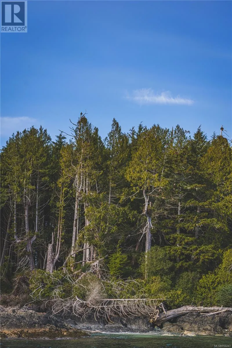 Lot A Vargas Island