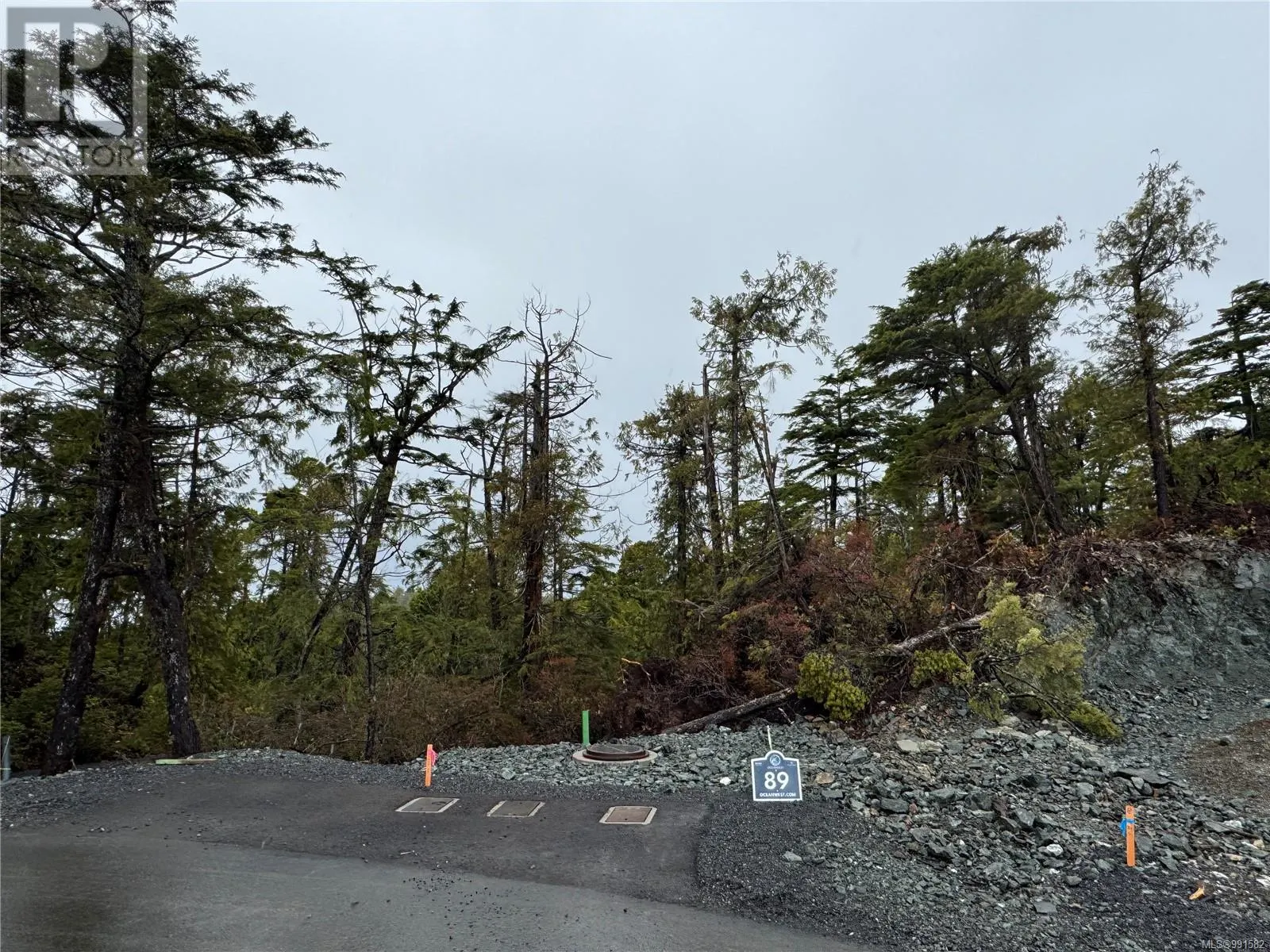 Lot 89 Shore Pine Dr