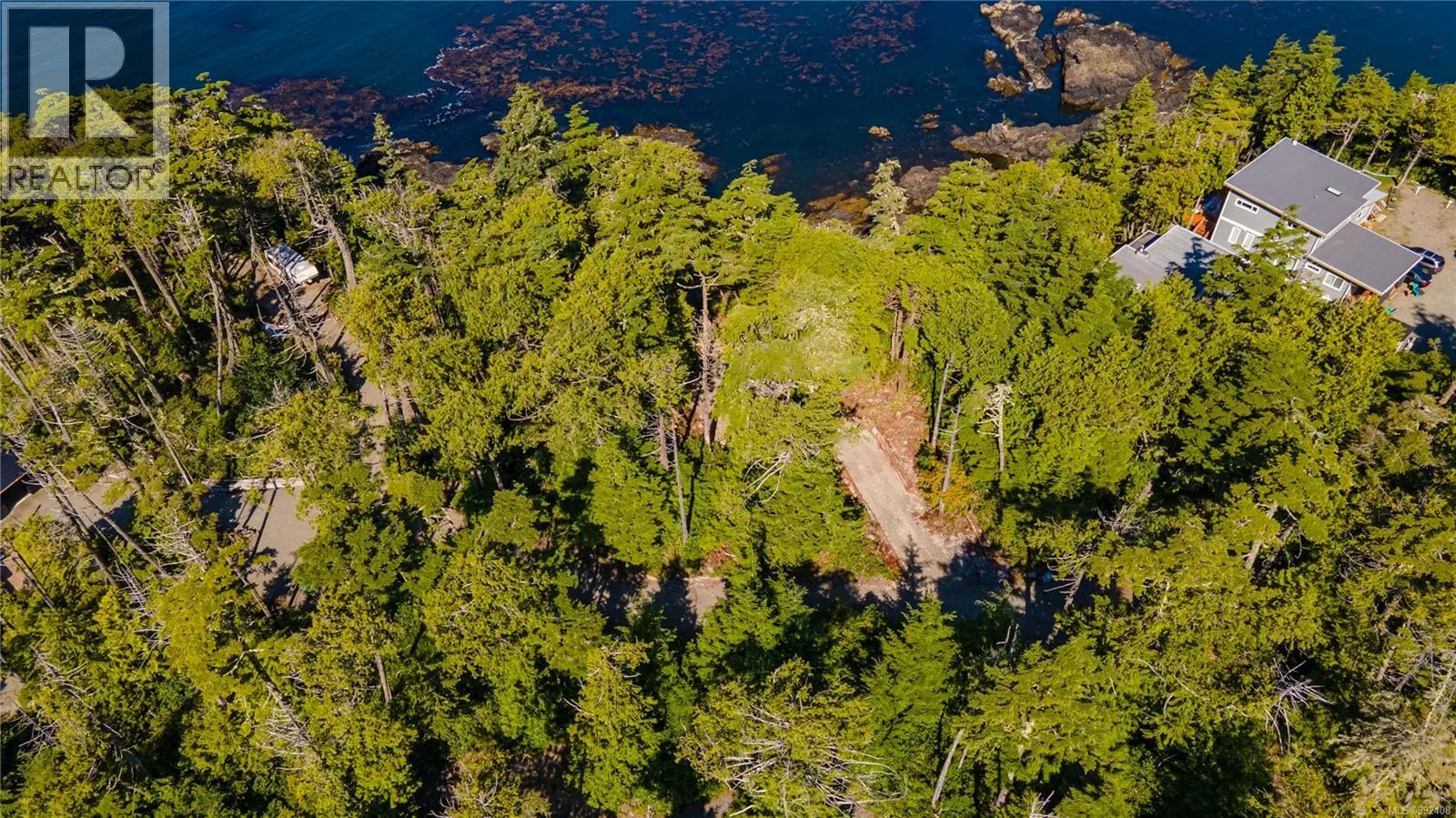 392 Reef Point Rd