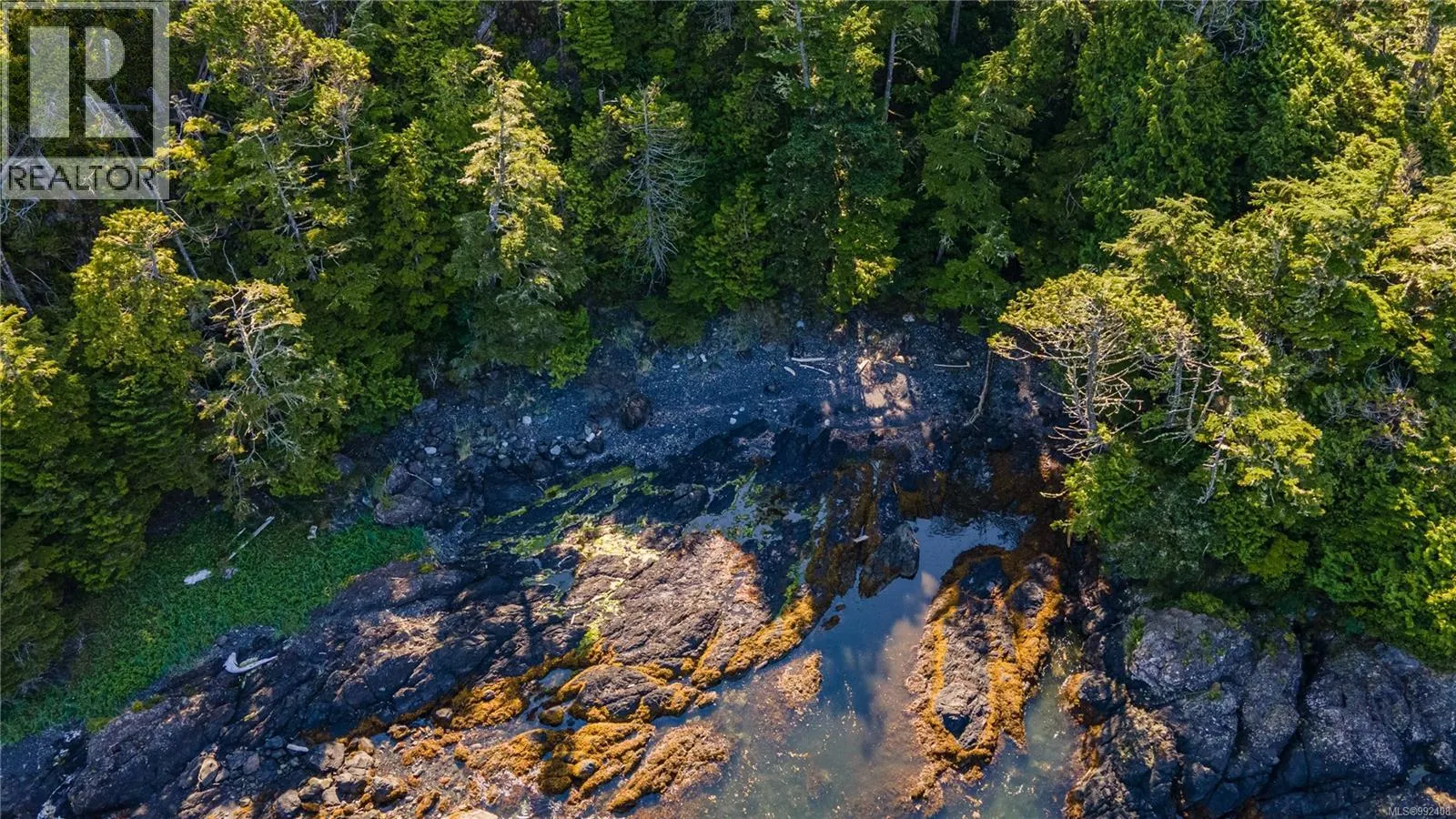 392 Reef Point Rd