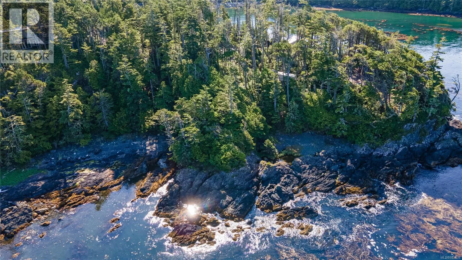 392 Reef Point Rd