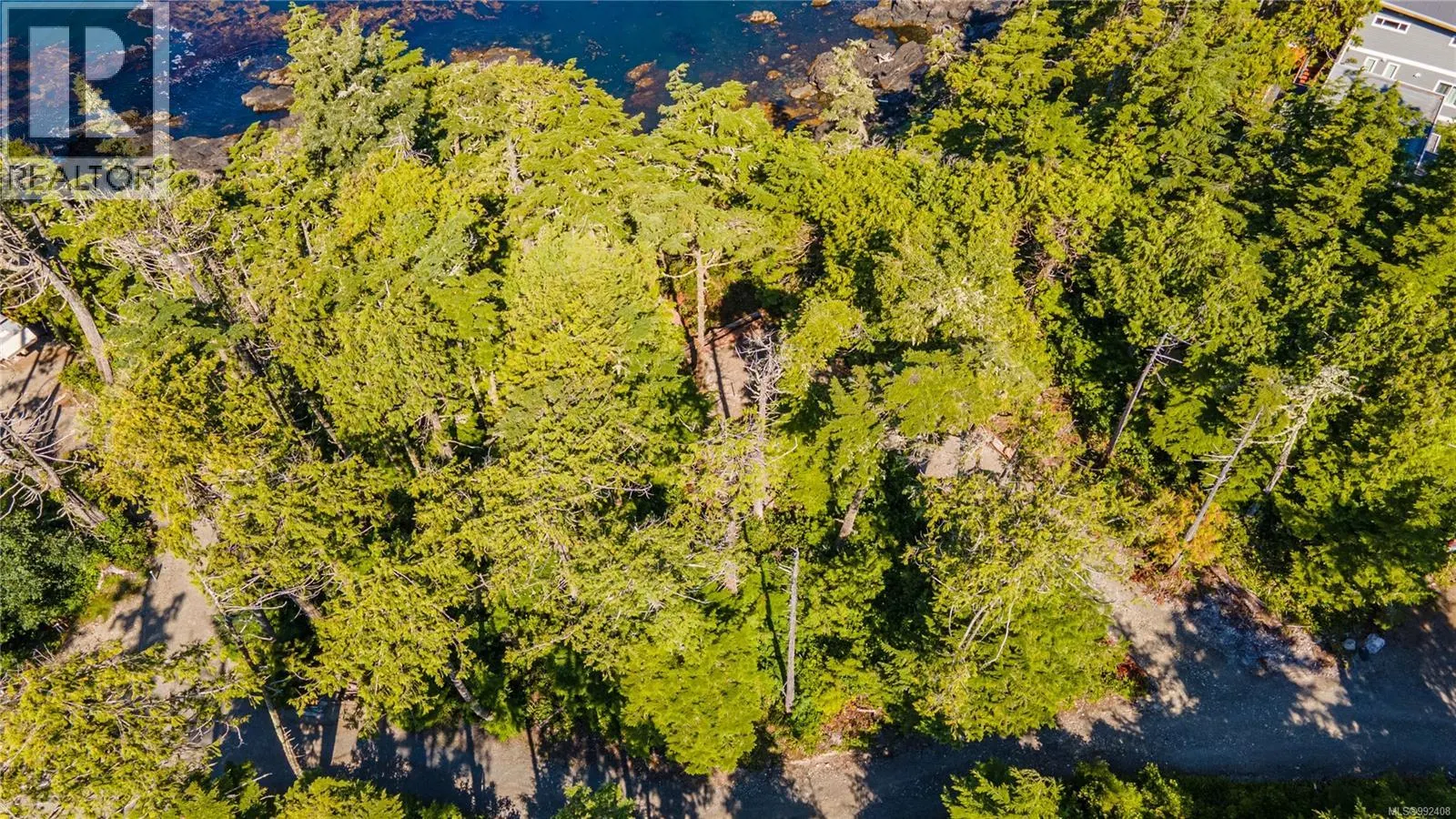 392 Reef Point Rd