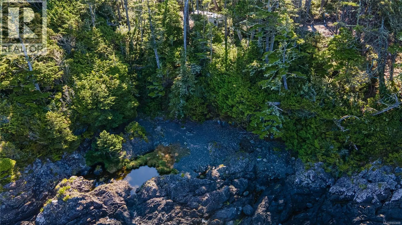 392 Reef Point Rd
