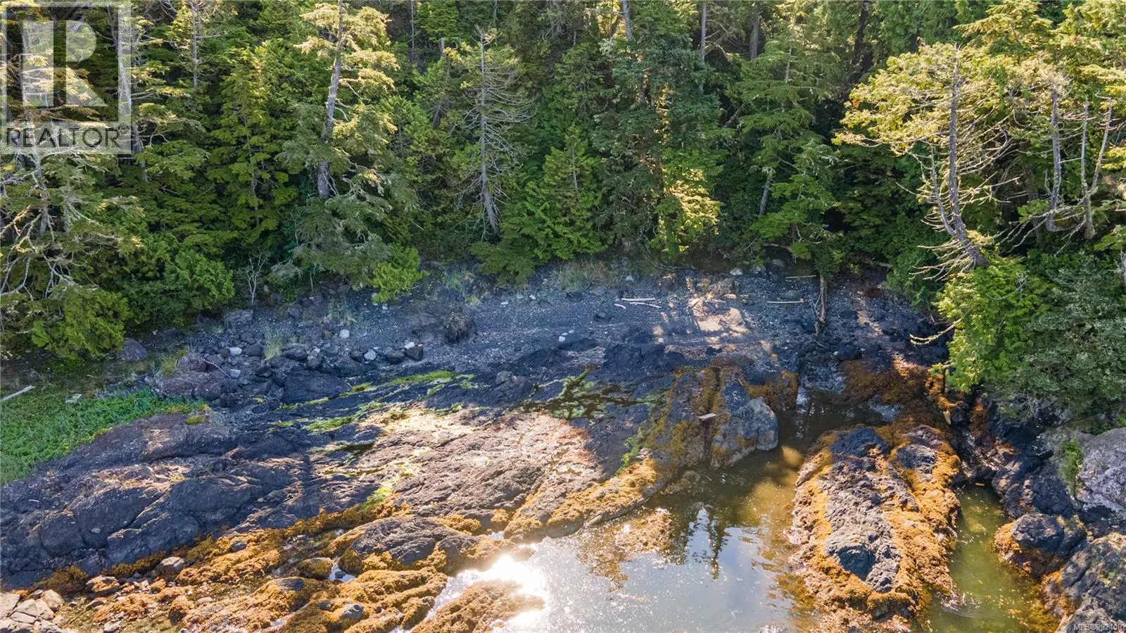 392 Reef Point Rd