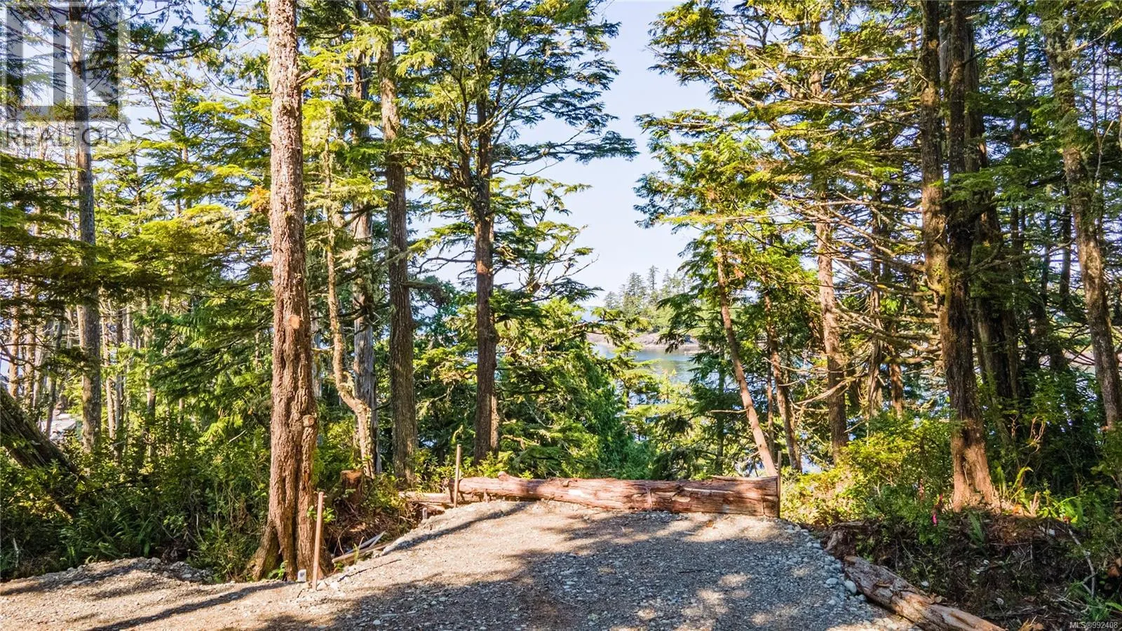 392 Reef Point Rd