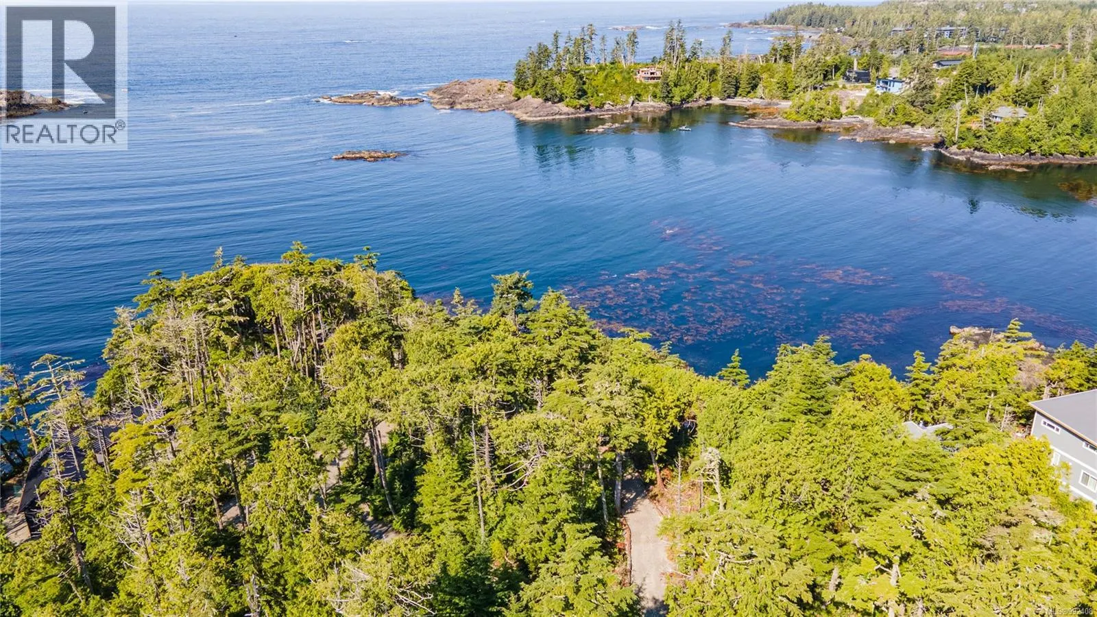 392 Reef Point Rd