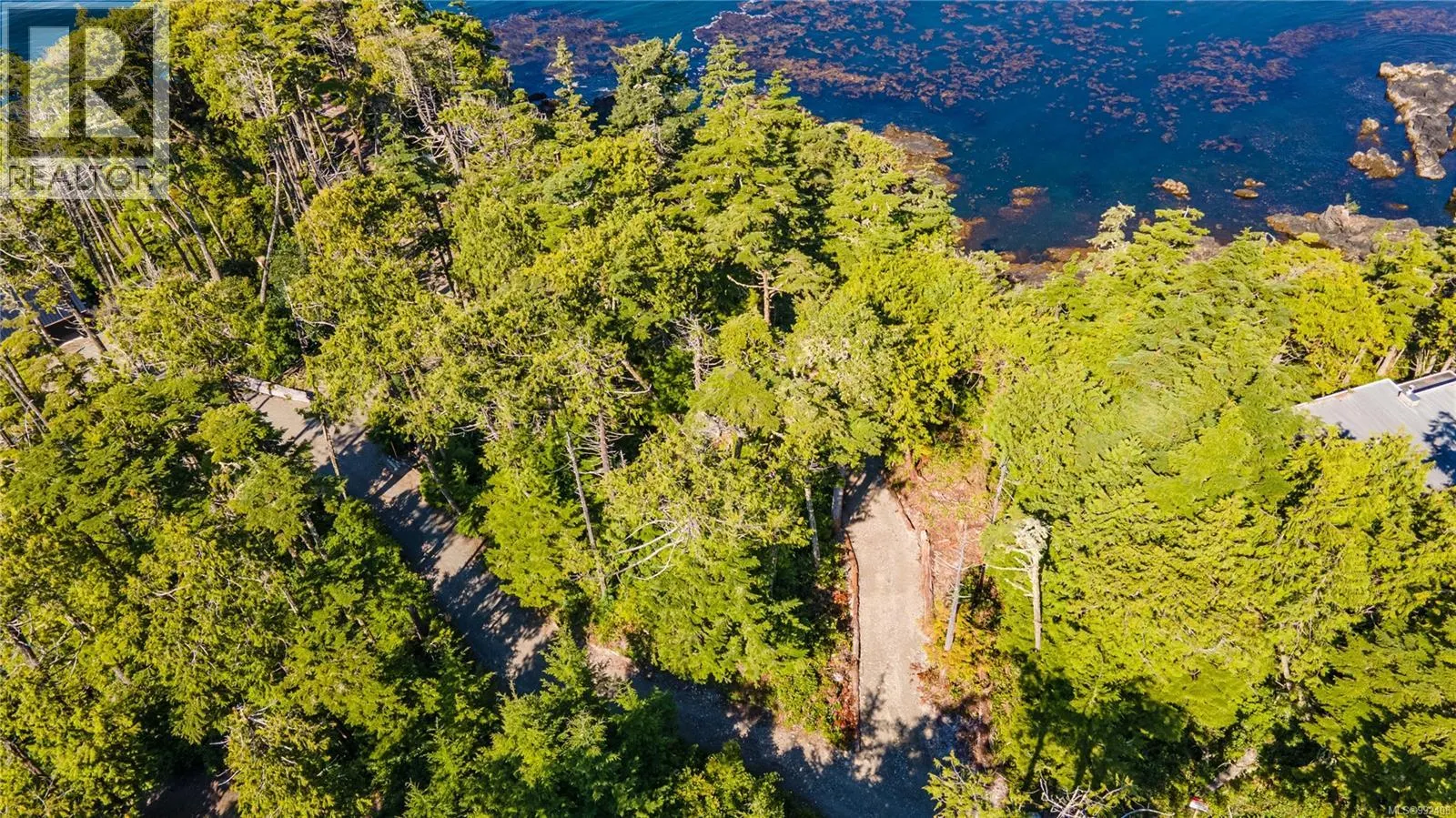 392 Reef Point Rd