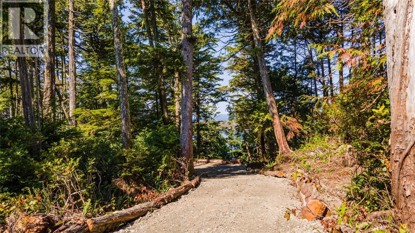 392 Reef Point Rd