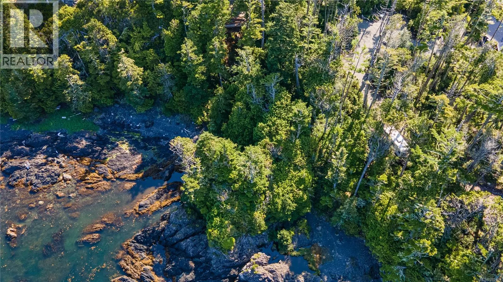 392 Reef Point Rd