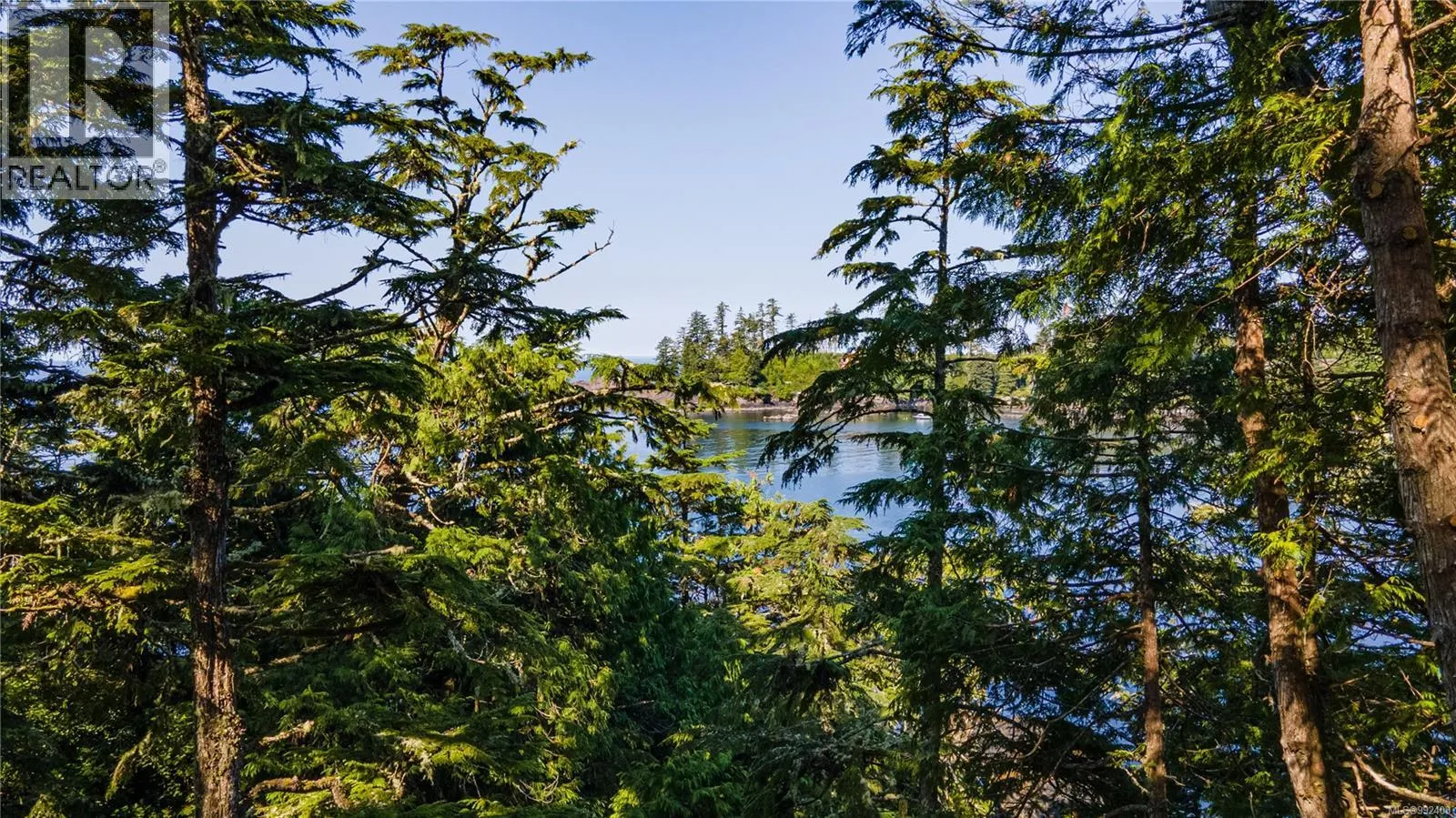 392 Reef Point Rd