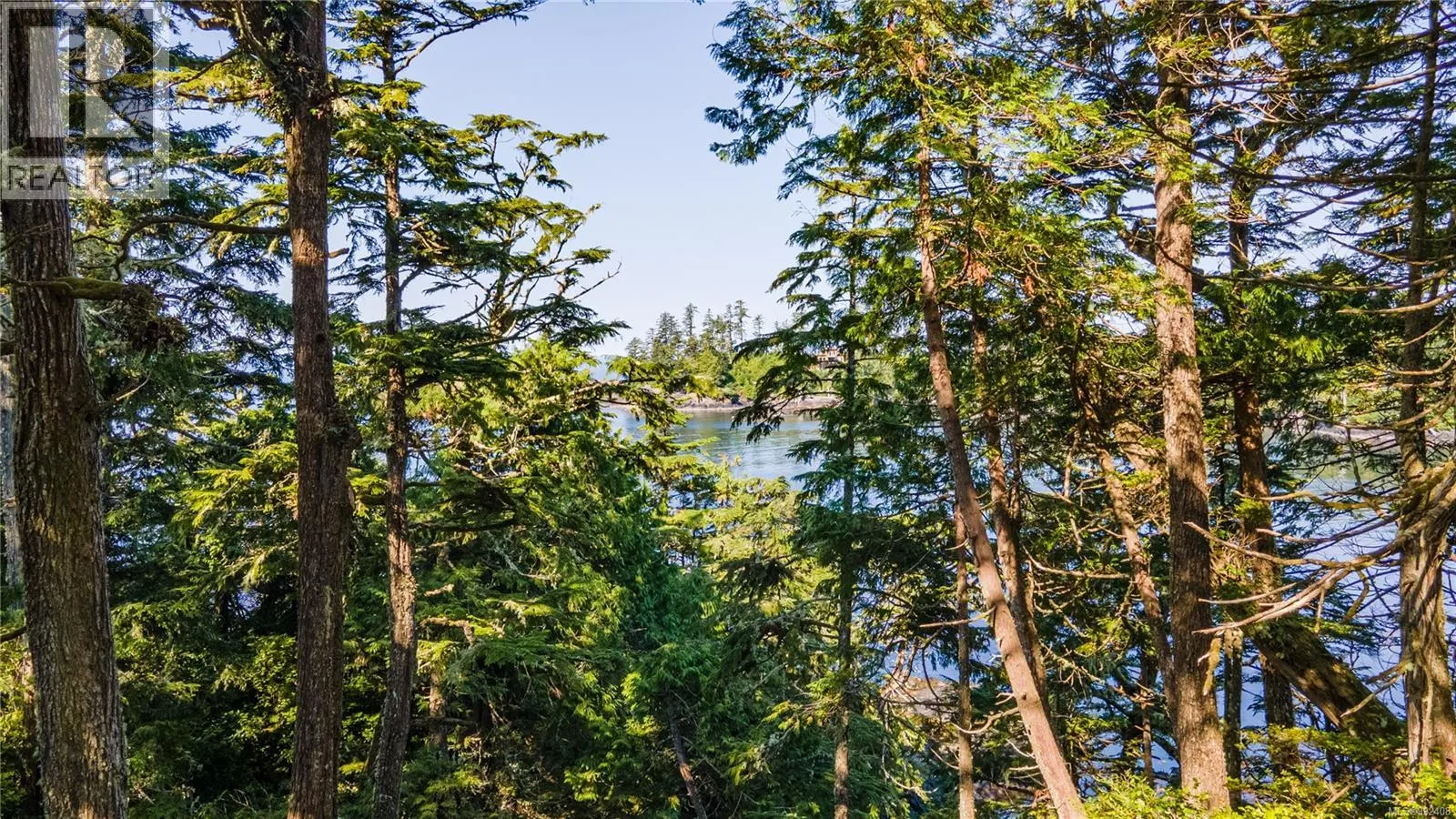 392 Reef Point Rd